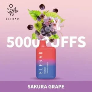 ELFBAR 5000
