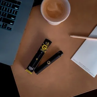 G 3000 Disposable Vape In UAE 3 G 3000