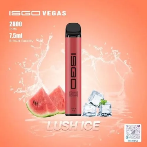 ISGO VEGAS | Best Vape Shop Dubai (2026) 7 ISGO VEGAS