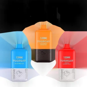 Tugboat Super 12000 Puffs Dubai main