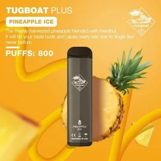 TUGBOUT PLUS Dubai 3 TUGBOUT PLUS