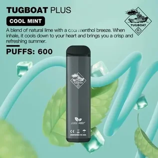 TUGBOUT PLUS Dubai 2 TUGBOUT PLUS