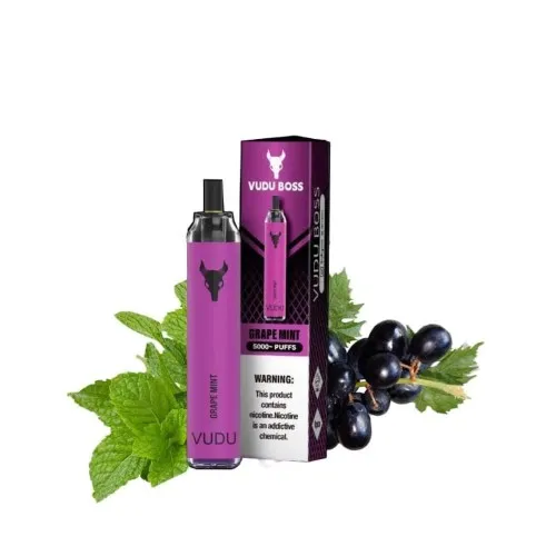 VUDU FILTER BOSS 5000 PUFFS | Best Vape Shop Dubai (2026) 2 VUDU FILTER BOSS 5000 PUFFS
