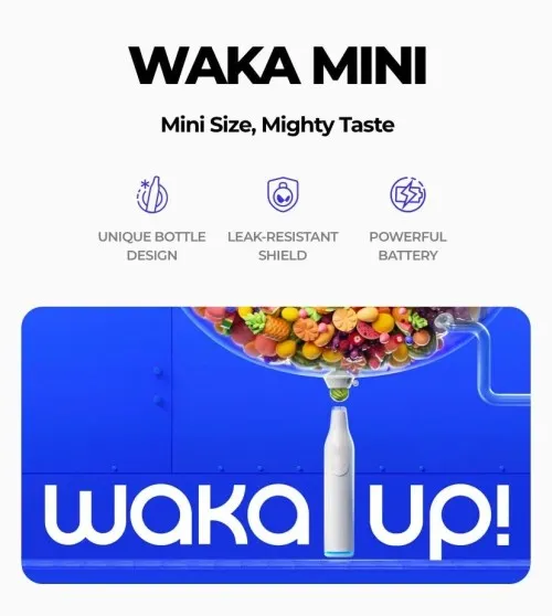 WAKA MINI Dubai 4 WAKA MINI