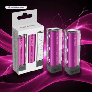 Efest 18650 3000mAh