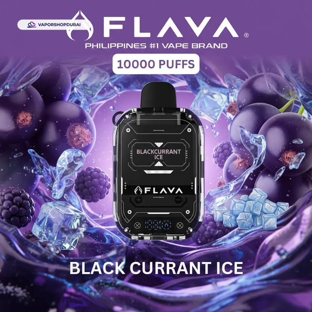 Flava Nimmbox 10000 Puffs Disposable Vape In UAE 25 black-currant-ice