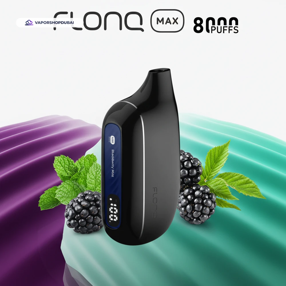 Flonq Max S 8000 Puffs Vape In UAE 21 blackberry-mint