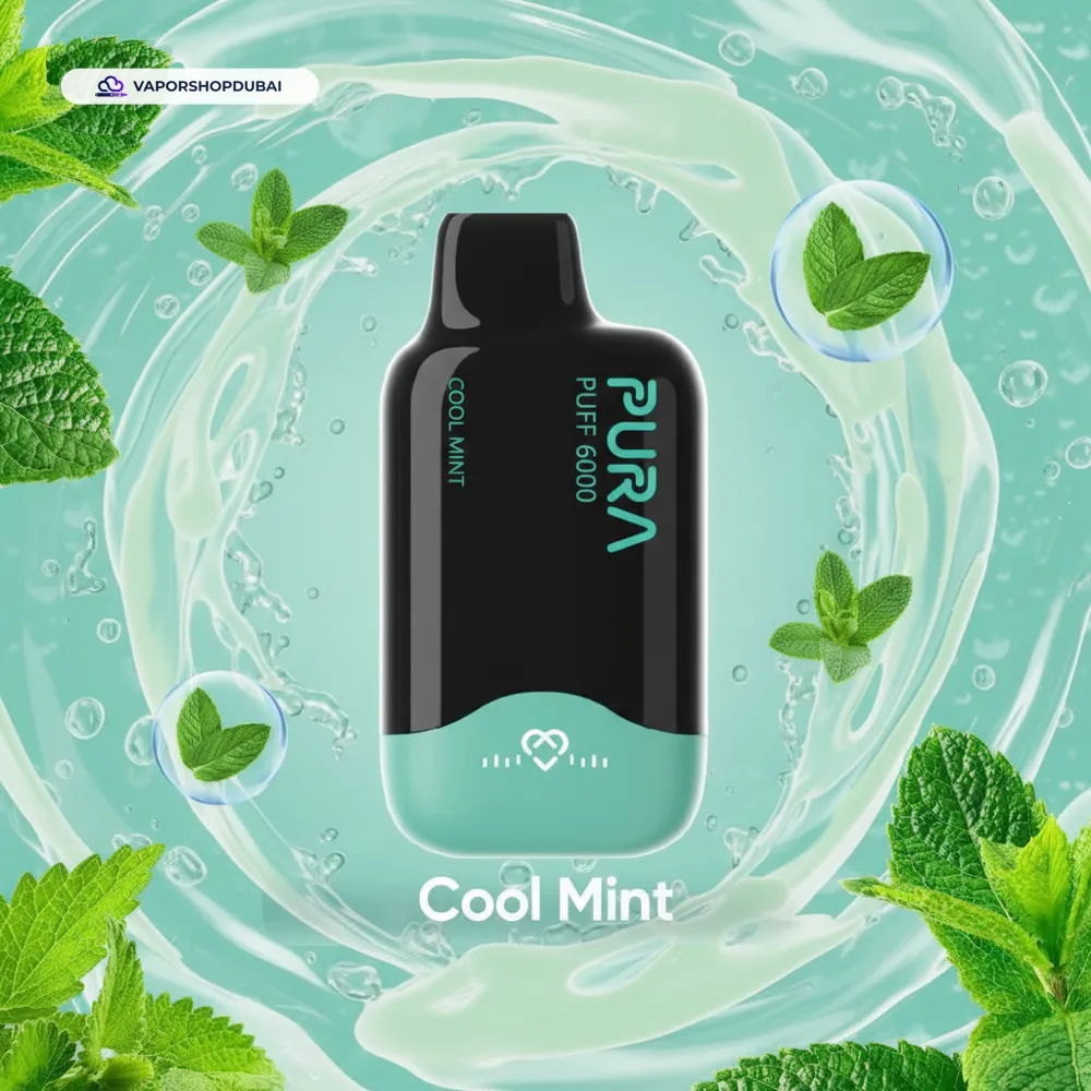 Pura 6000 Puffs Disposable Vape 2% In UAE 27 cool-mint