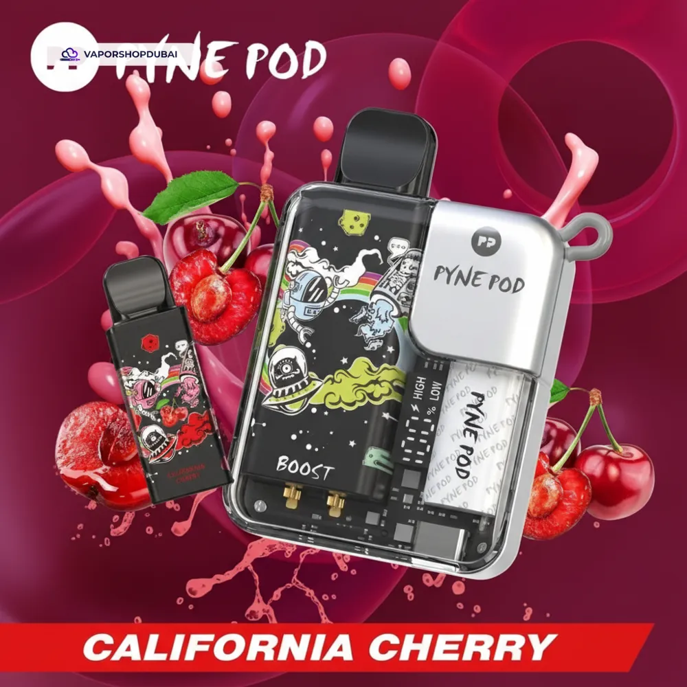 Pyne Pod 8000 Puffs Pod Kit In UAE 30 california-cherry