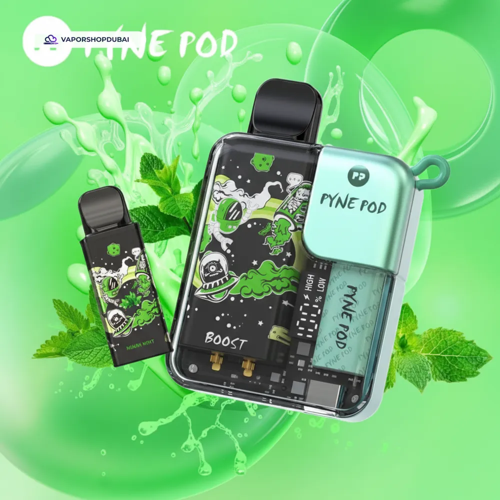 Pyne Pod 8000 Puffs Disposable Vape (Replaceable Pod) In UAE 34 miami-mint