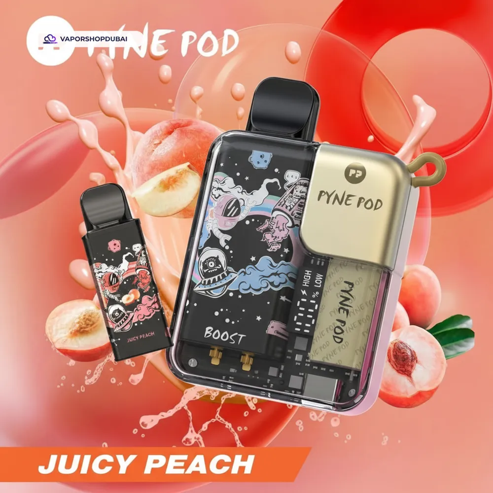 Pyne Pod 8000 Puffs Pod Kit In UAE 8 Pyne Pod 8000 Puffs Disposable Vape (Replaceable Pod) In UAE