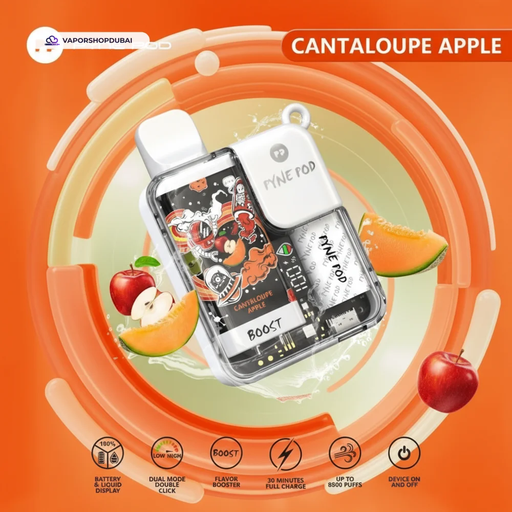 Pyne Pod 8500 Pod Kit In UAE 62 cantaloupe-apple