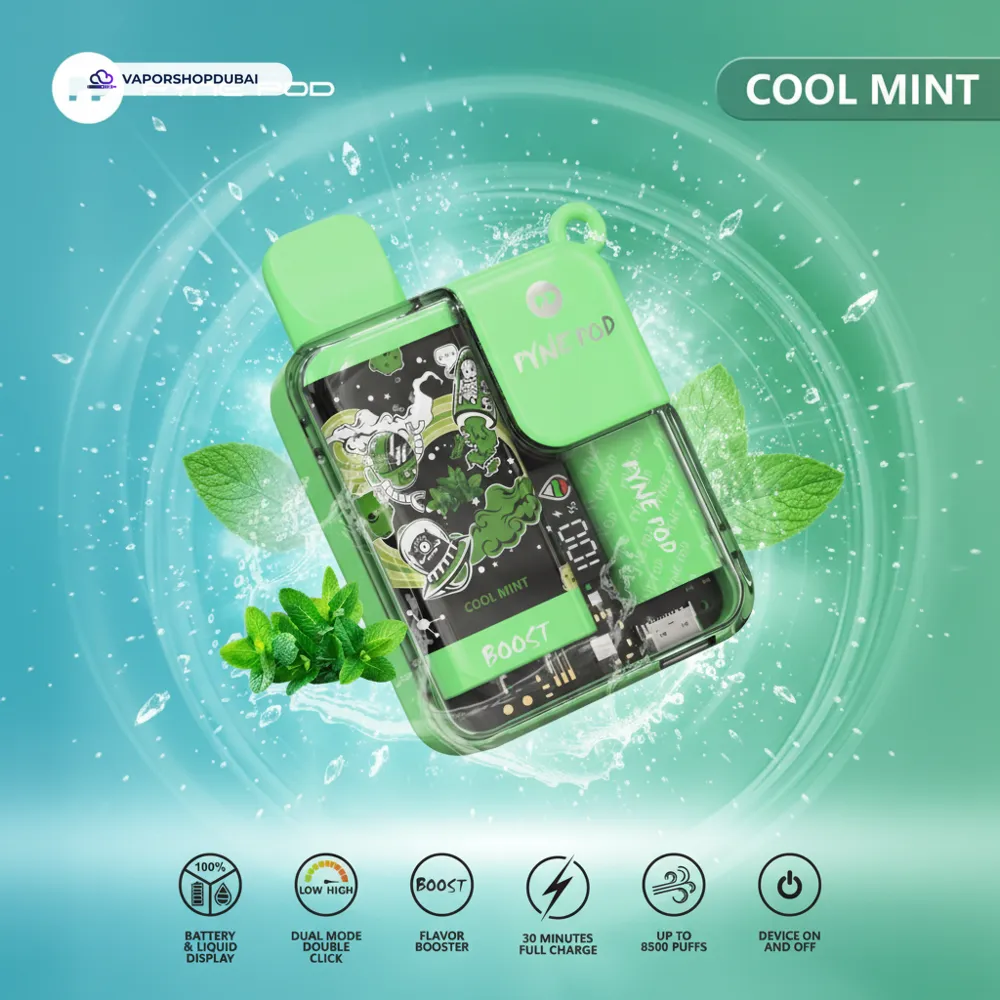 Pyne Pod 8500 Pod Kit In UAE 15 Pyne Pod 8500 Disposable Vape In UAE