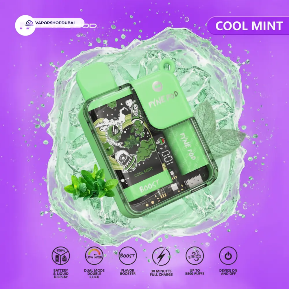 Pyne Pod 8500 Pod Kit In UAE 38 Pyne Pod 8500 Disposable Vape In UAE