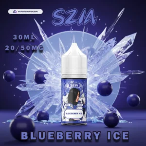 blueberry-ice