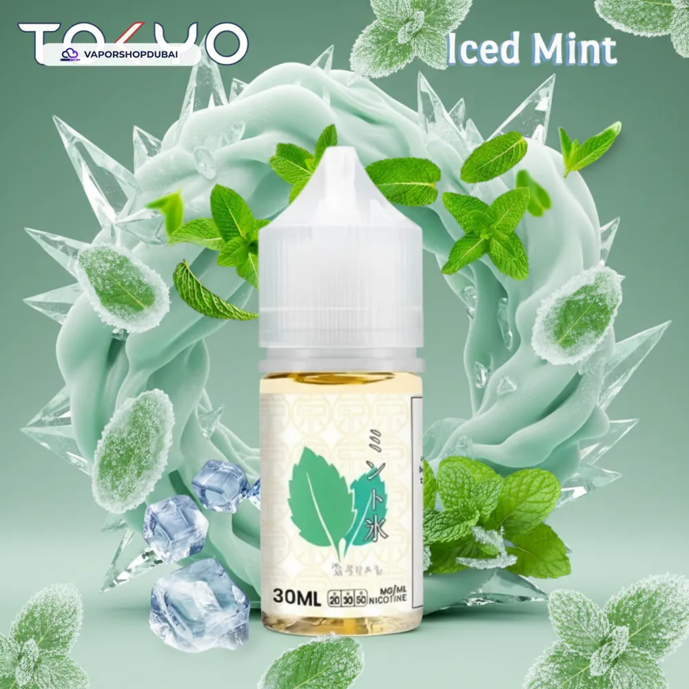 Tokyo Classic Salt Nic 30ml E-Liquid In UAE 18 iced-mint