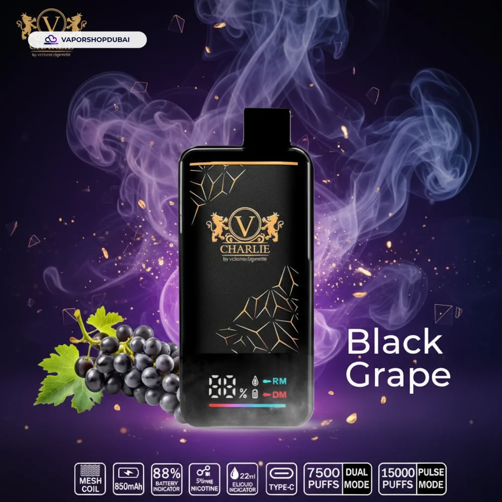 Vicig Charlie Vape In UAE 13 Vicig Charlie Disposable Vape 15000 Puffs In UAE