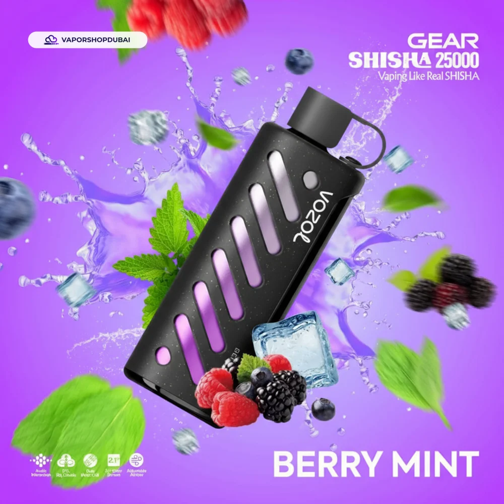Vozol Gear Shisha 25000 Puffs Disposable Vape In UAE 65 berry-mint
