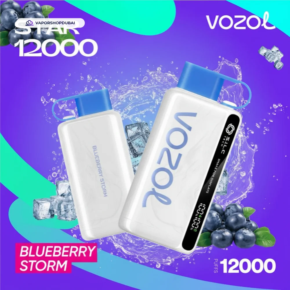 VOZOL STAR 12000 Puffs Disposable Kit Disposable Vape In UAE 45 blueberry-storm
