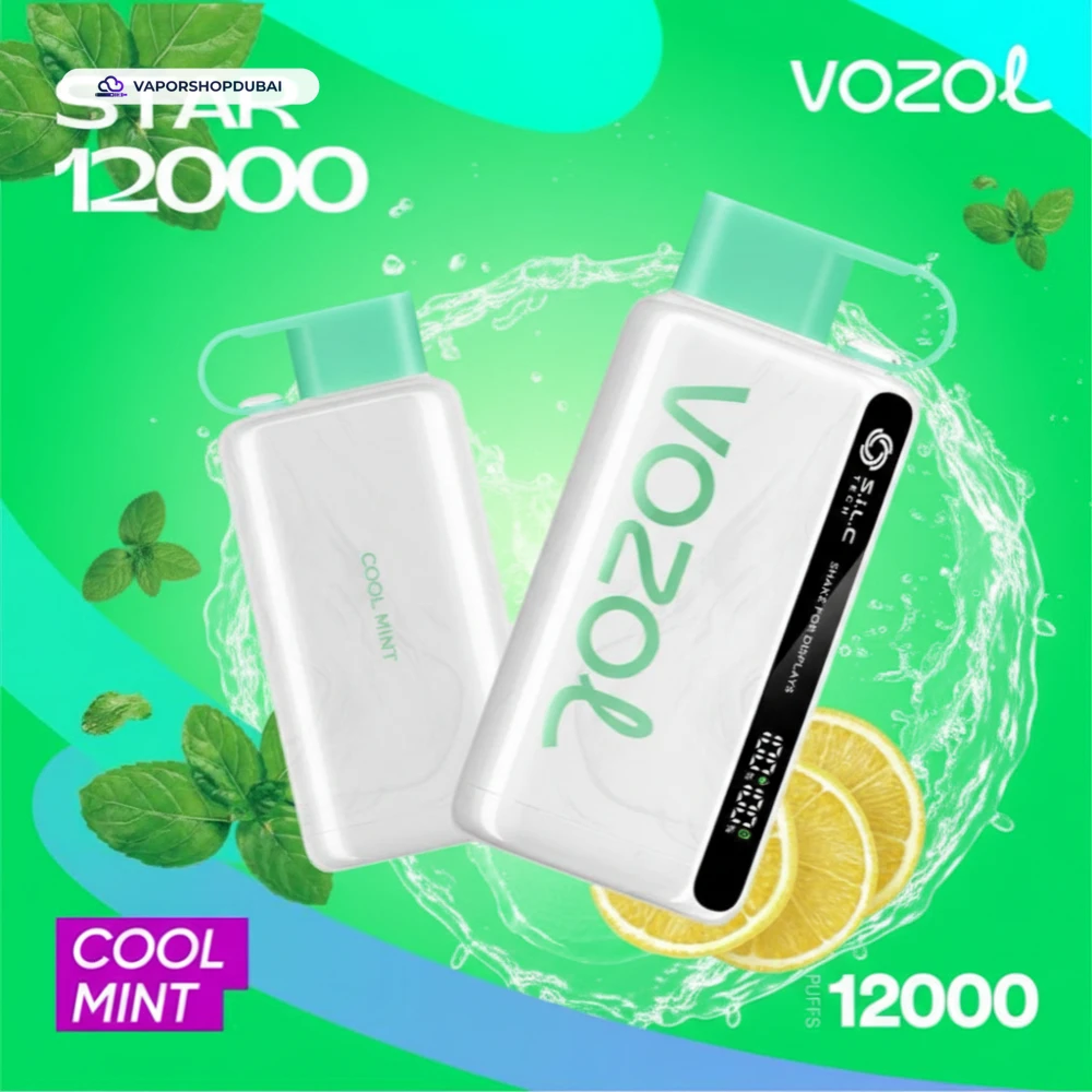 VOZOL STAR 12000 Puffs Disposable Kit Disposable Vape In UAE 46 cool-mint