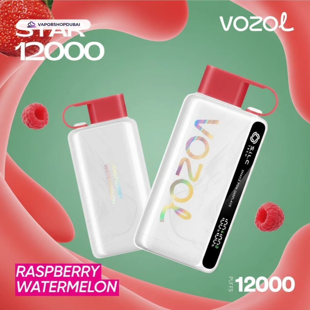 VOZOL STAR 12000 Puffs Disposable Kit Disposable Vape In UAE 52 raspberry-watermelon