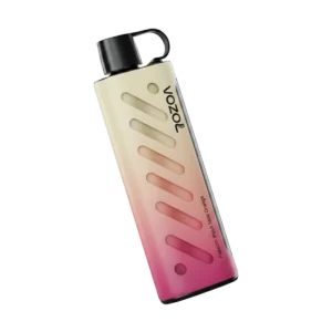 Vozol Gear Shisha 25000 Puffs Disposable Vape In UAE premium posed transparent perfect Vozol quality