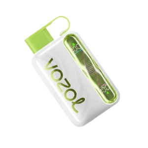 Vozol Star 40000 Puffs Disposable Vape In UAE premium posed transparent perfect Vozol quality