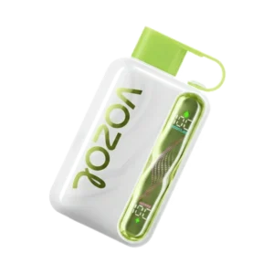 vape shop dubai 12 Vozol Star 40000 Puffs Disposable Vape In UAE premium posed transparent perfect Vozol quality