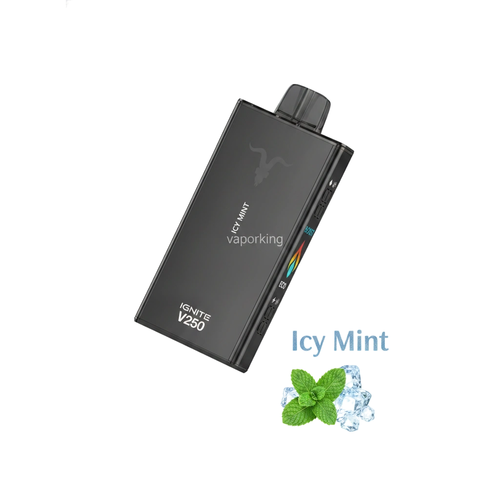 IGNITE - V250 Rechargeable Disposable Vape (25,000 Puffs) 7 IGNITE - V250 Rechargeable Disposable Vape (25,000 Puffs) Icy Mint premium transparent